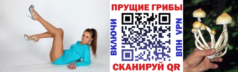 Псилоцибиновые грибы MAGIC MUSHROOMS  наркошоп  Бокситогорск 