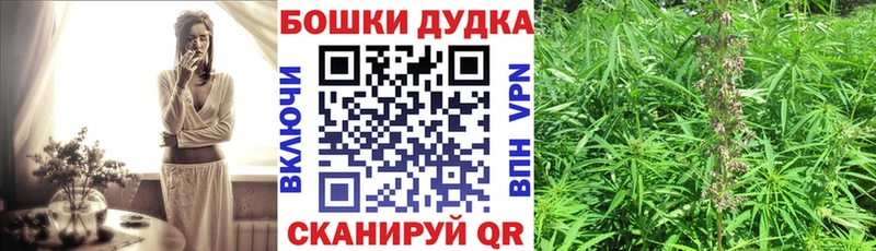 купить   Бокситогорск  hydra ссылка  МАРИХУАНА семена 